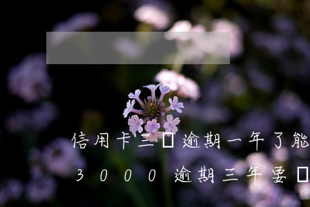 信用卡三萬逾期一年了能怎么還款-信用卡3000逾期三年要還多少