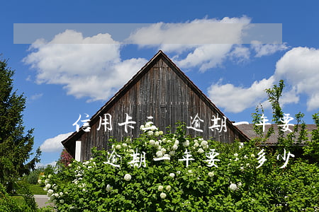 信用卡三萬逾期一年要還多少錢-信用卡三萬逾期一年要還多少錢呢