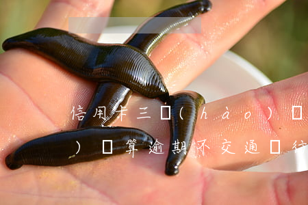信用卡三號(hào)還款日六號(hào)還算逾期不(交通銀行信用卡3號(hào)還款6號(hào)還的算逾期嗎)