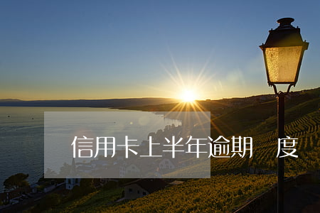 信用卡上半年逾期額度