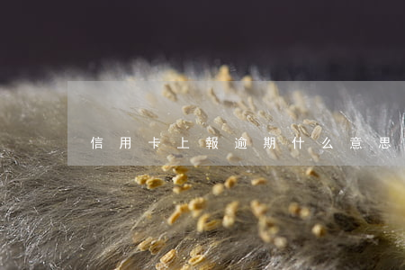 信用卡 上報 逾期什么意思（信用卡 上報 逾期）