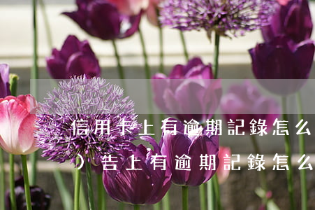 信用卡上有逾期記錄怎么辦(信用報(bào)告上有逾期記錄怎么辦)