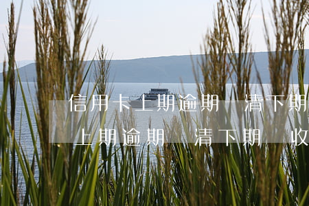 信用卡上期逾期還清下期還收費嗎-信用卡上期逾期還清下期還收費嗎是真的嗎