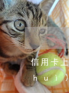 信用卡上欠一千(信用卡欠一千五逾期了會(huì)怎樣)