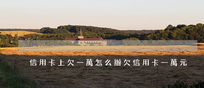 信用卡上欠一萬怎么辦(欠信用卡一萬元)