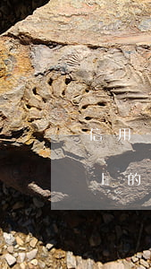信用卡上的錢不還會(huì)怎樣(信用卡上的錢不還會(huì)怎樣)