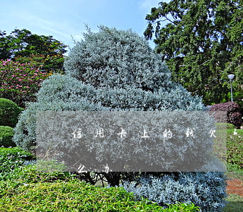 信用卡上的钱欠六万(信用卡上的钱欠六万怎么办)