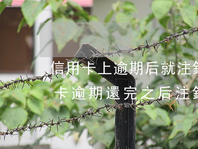 信用卡上逾期后就注銷(xiāo)了(信用卡逾期還完之后注銷(xiāo)對(duì)信用有影響沒(méi)有)