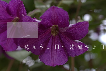 信用卡上門-信用卡上門催收,別怕!