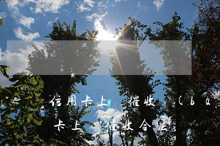 信用卡上門催收報(bào)警有用嗎(信用卡上門催收合法嗎)