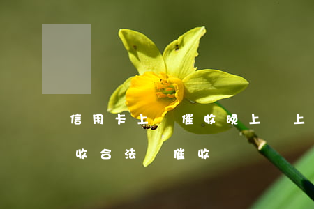 信用卡上門催收晚上會上門嗎(信用卡上門催收合法嗎催收)