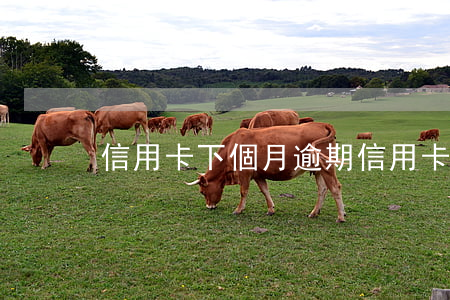 信用卡下個月逾期(信用卡 逾期 一個月)