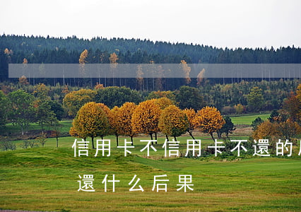 信用卡不信用卡不還的后果(欠信用卡一直不還什么后果)
