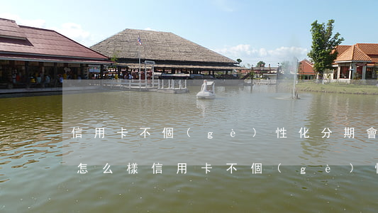 信用卡不個(gè)性化分期會(huì)怎么樣（信用卡不個(gè)性化分期）