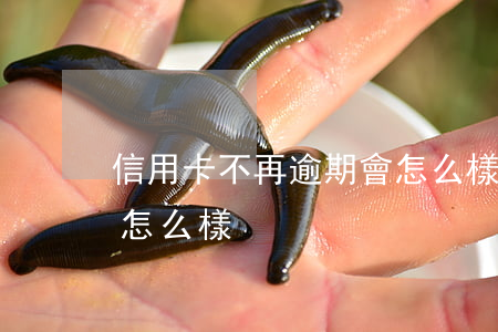 信用卡不再逾期會怎么樣(信用卡一直逾期會怎么樣)