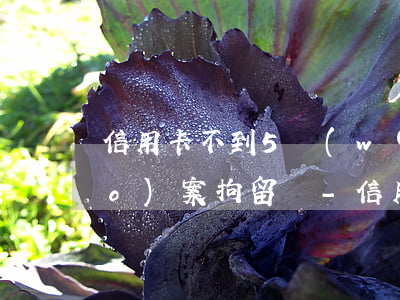 信用卡不到5萬(wàn)逾期可報(bào)案拘留嗎-信用卡不到5萬(wàn)逾期可報(bào)案拘留嗎多少天