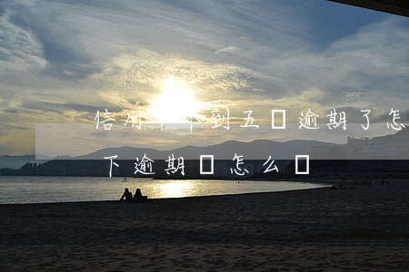 信用卡不到五萬逾期了怎么辦(信用卡5萬以下逾期會怎么樣)