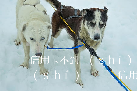 信用卡不到時(shí)間不還要緊嗎(長時(shí)間沒還信用卡)