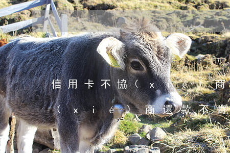 信用卡不協(xié)商不還款(和信用卡協(xié)商還款不肯要走司法程序該怎么辦)