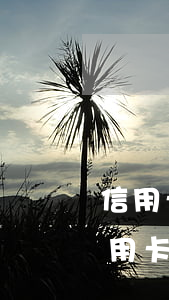 信用卡不協(xié)商投訴平臺(要投訴信用卡找那個部門)