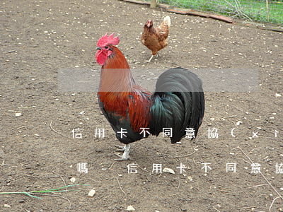 信用卡不同意協(xié)商還款可以投訴嗎-信用卡不同意協(xié)商還款可以投訴嗎有用嗎