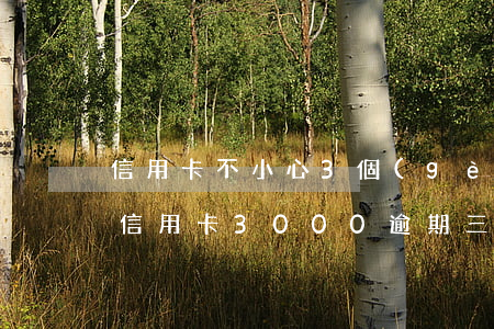 信用卡不小心3個(gè)月每逾期2次-信用卡3000逾期三個(gè)月后果
