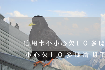 信用卡不小心欠10多塊逾期了-信用卡不小心欠10多塊逾期了怎么辦