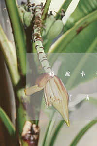信用卡不小心超過還款日半小時(shí)會(huì)算利息嗎-信用卡不小心超過還款日半小時(shí)會(huì)算利息嗎