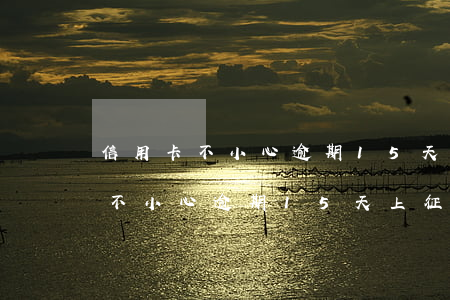信用卡不小心逾期15天上征信嗎-信用卡不小心逾期15天上征信嗎有影響嗎