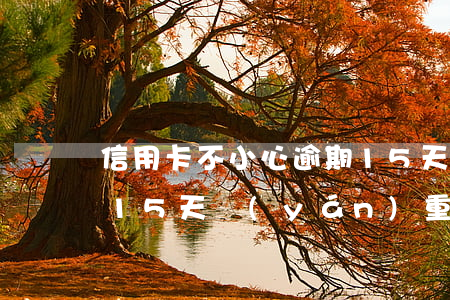 信用卡不小心逾期15天(信用卡不小心逾期15天嚴(yán)重嗎)