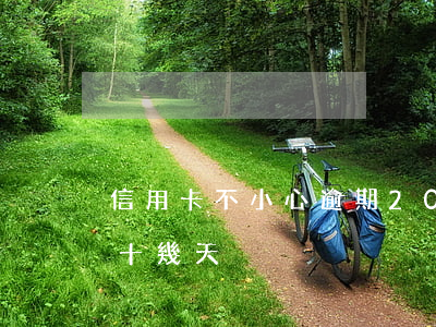 信用卡不小心逾期20天(信用卡沒注意逾期十幾天)