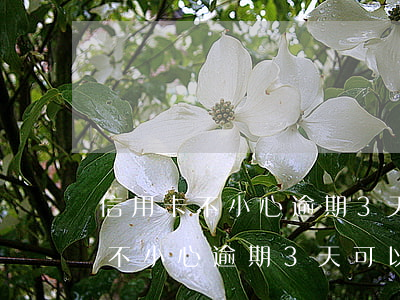 信用卡不小心逾期3天可以申訴嗎-信用卡不小心逾期3天可以申訴嗎怎么辦