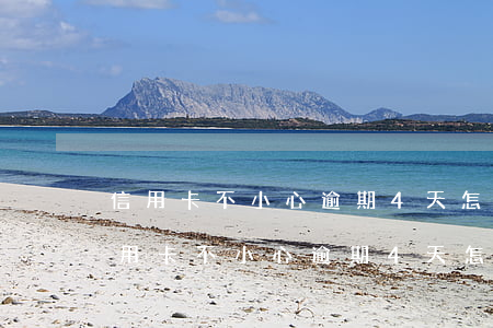 信用卡不小心逾期4天怎么補(bǔ)救(信用卡不小心逾期4天怎么補(bǔ)救)