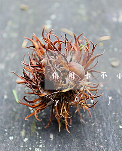 信用卡不小心逾期8天(8張信用卡全部嚴(yán)重逾期了怎么辦)