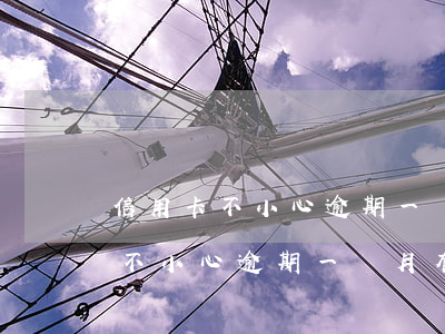 信用卡不小心逾期一個月有影響嗎-信用卡不小心逾期一個月有影響嗎怎么辦