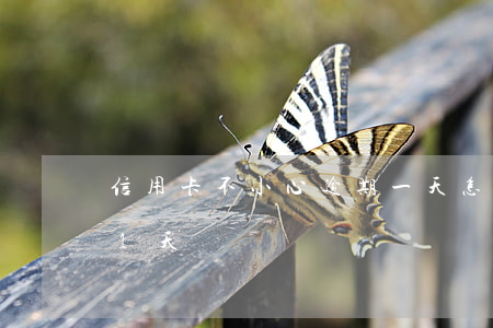 信用卡不小心逾期一天怎么辦呢(信用卡 逾期 1天)