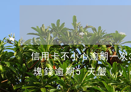 信用卡不小心逾期一次30元(信用卡300塊錢逾期5天嚴(yán)重嗎)