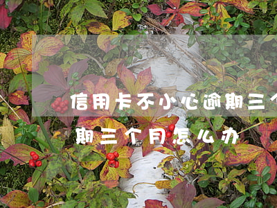 信用卡不小心逾期三个月办房贷(银行房贷逾期三个月怎么办)