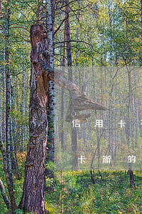 信用卡不小心逾期上了征信(征信逾期了信用卡辦的下來嗎)