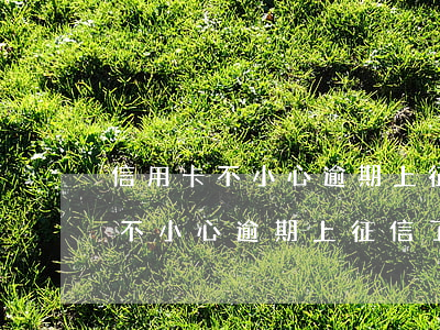 信用卡不小心逾期上征信了怎么辦-信用卡不小心逾期上征信了怎么辦呢