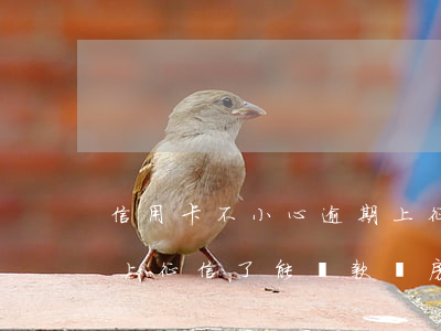 信用卡不小心逾期上征信(信用卡不小心逾期上征信了能貸款買房嗎)