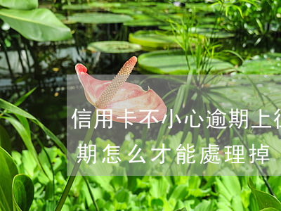信用卡不小心逾期上征信怎么消除(征信上逾期怎么才能處理掉)