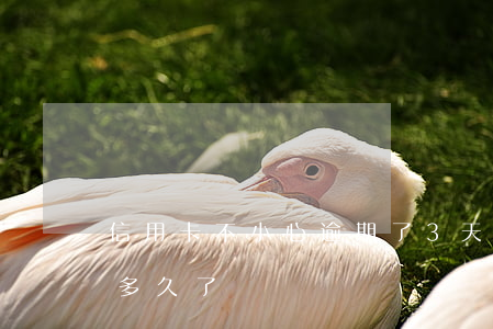 信用卡不小心逾期了3天(你們的信用卡逾期多久了)