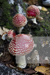 信用卡不小心逾期了3天怎么辦-信用卡不小心逾期了3天怎么辦理