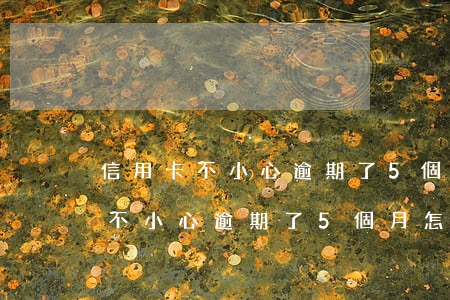 信用卡不小心逾期了5個月怎么辦-信用卡不小心逾期了5個月怎么辦呢