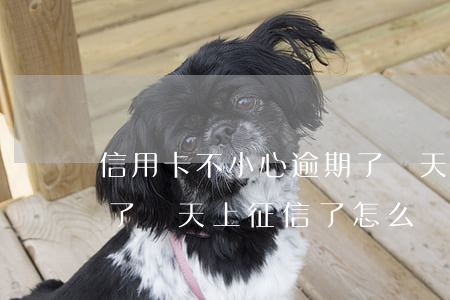 信用卡不小心逾期了幾天(信用卡不小心逾期了幾天上征信了怎么辦)