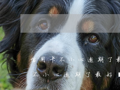 信用卡不小心逾期了最好處理方法-信用卡不小心逾期了最好處理方法是什么