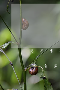 信用卡不小心逾期了會被起訴嗎(沒注意信用卡逾期了)