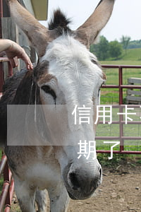 信用卡不小心逾期倆月咋辦(沒注意信用卡逾期了)