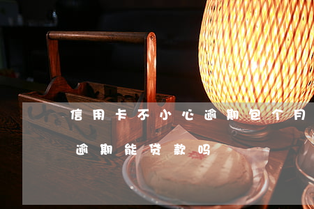 信用卡不小心逾期包个月一次(有一次信用卡逾期能贷款吗)
